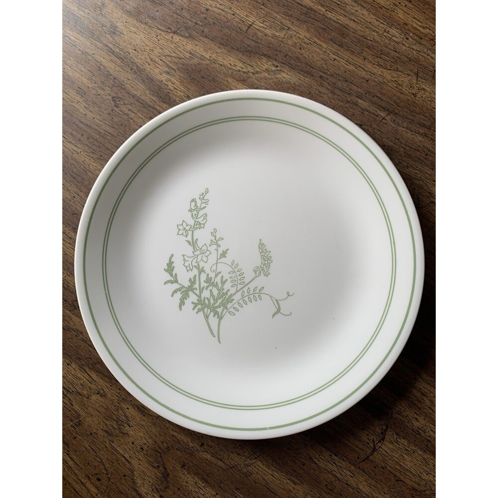Set of 2 Corelle Floral Spray Large Plates  10.25 in Green White Vintage 1970s